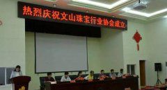 文山珠宝行业协会正式成立，文山珠宝行业将从零散经营迈向抱团发展的新阶段