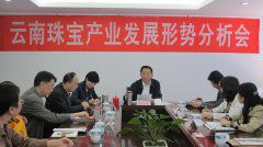 云南珠宝产业发展形势分析会