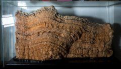 加林珠宝精品推荐