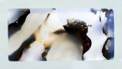 双龙宝韵精品推荐