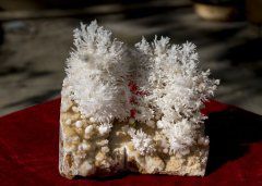 小灰灰奇石精品推荐