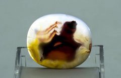 小小宝石精品推荐